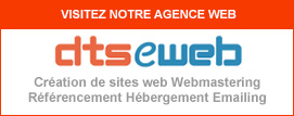 logo dtseweb.com